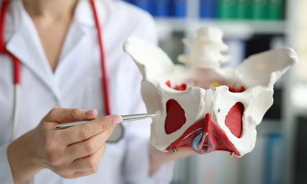 Urologists’ Role In The Treatment Of Pelvic Organ Prolapse