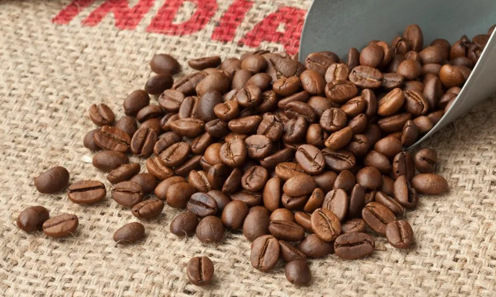 When is the best time to drink organic decaf coffee?