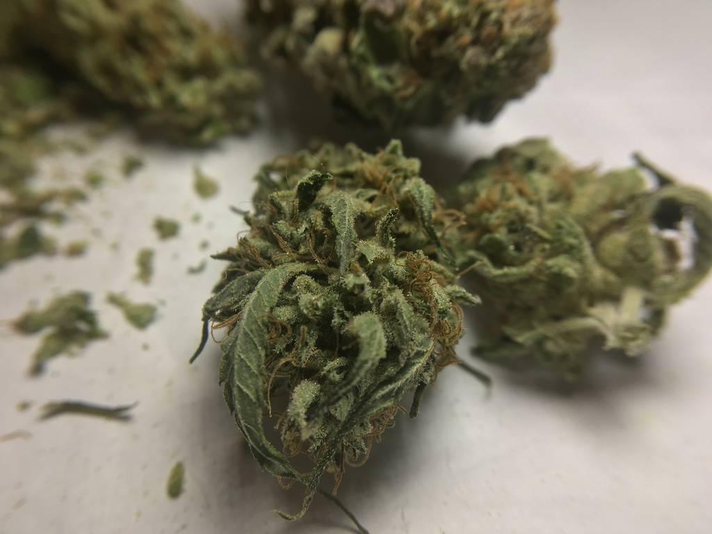 Using CBD Flower for Therapy: A Natural Approach to Wellness